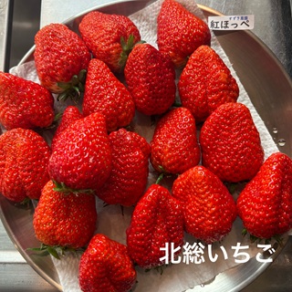 MAISON IZARRA 文化を楽しむコンサート